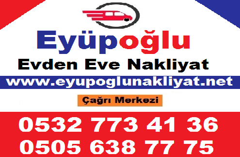 Kurtköy Evden Eve Nakliyat görseli